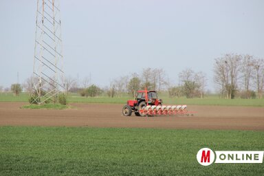 Csak a valóban megművelt parcellák esetében fizetnének / Tóth Péter felvétele