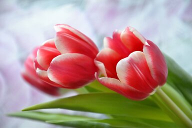Pixabay