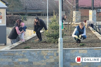 A zöld felületeket kigyomlálták, felkapálták, pótolták a fákat, kúszótujákat, cserjéket ültettek a szabadtéri színpad köré / Lakatos János felvétele