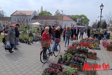 Virágba borult a tér Óbecsén (Kancsár Izabella felvétele)