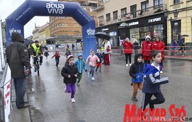Félmaraton Újvidéken
