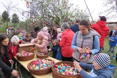 Csincsik Zsolt felvétele