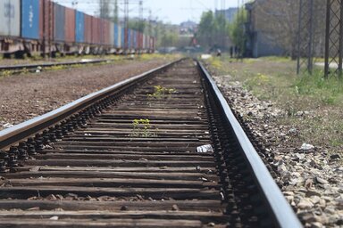 021.rs/Illusztráció