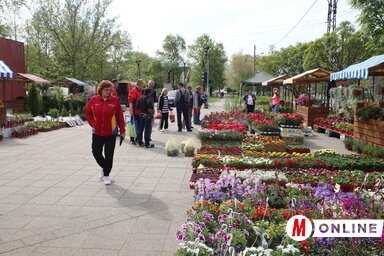 Minden évben megszervezik a Virágfesztivált Bégaszentgyörgyön (Fotó: Vidács Hajnalka / archív)