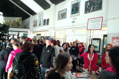 Bajić Jenei Klementina