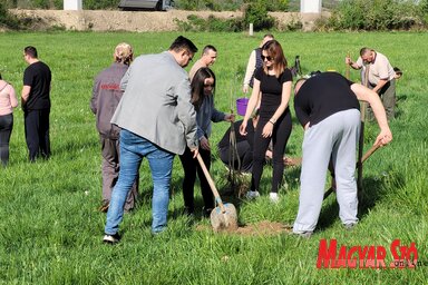 Két helyszínen mintegy 50 fát ültettek az ifi fórum akciója során / Lakatos János felvétele