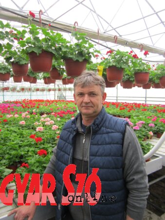 Buják István Buják István