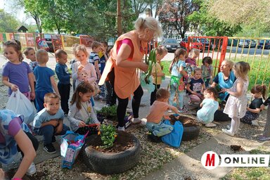 A Bambi központi épületének bejáratánál kialakított kiskert munkálatai / Kazinczy Paszterkó Diana felvétele