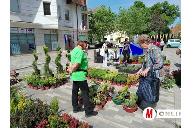 A virágok nagyon kelendőek voltak (Fotó: BJK)