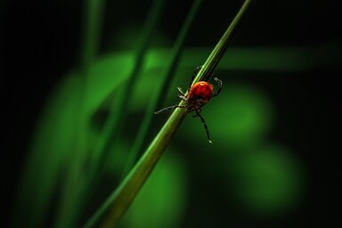pixabay.com