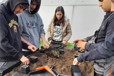 Palántákat nevelnek a Mezőgazdasági Iskola és Diákotthon tanulói a tangazdaság sátrában / Fekete Bánov Ágnes felvétele