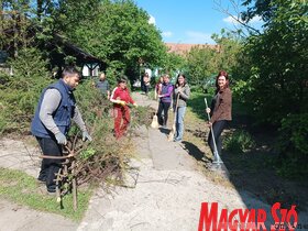 Föld-napi takarítási megmozdulás Bácskossuthfalván