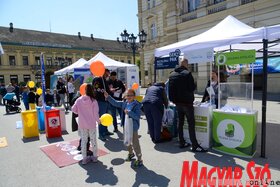 A Föld napja kapcsán alkalmi rendezvényeket tartottak Újvidéken