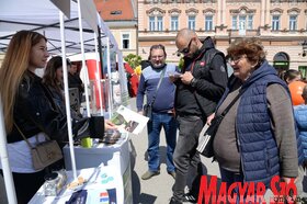 A Föld napja kapcsán alkalmi rendezvényeket tartottak Újvidéken