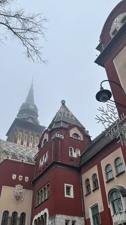 Tót Bagi Kincső Tót Bagi Kincső