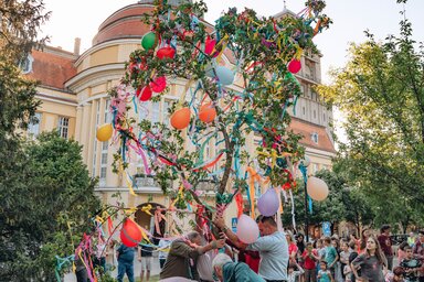 Idén az először állították májusfát Zenta központjában (Fotó: Herédi Krisztián)