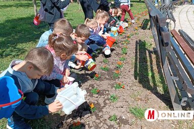 A virágokat a középiskolások elültették, majd az óvodások megöntözték