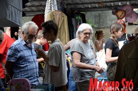 Megtartották az első városi bolhapiacot az újvidéki Temerini piacon