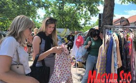 Megtartották az első városi bolhapiacot az újvidéki Temerini piacon