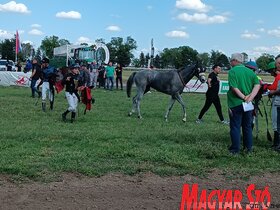 A szezont megnyitó lóverseny Zobnaticán