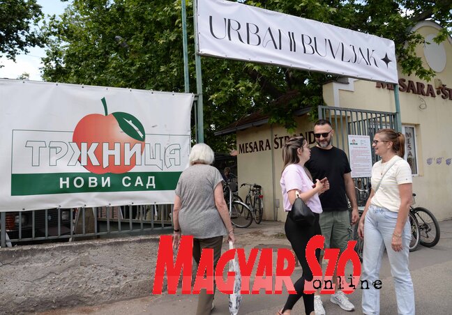 Dávid Csilla felvétele Dávid Csilla felvétele