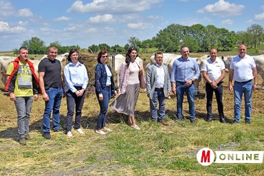 Gergely Árpád felvétele