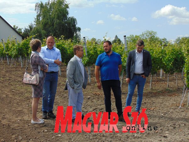 Navedene su dodatne opcije podrške za Lasla Silađija (Fotografija Hajnalke Vidač) Navedene su dodatne opcije podrške za Lasla Silađija (Fotografija Hajnalke Vidač)