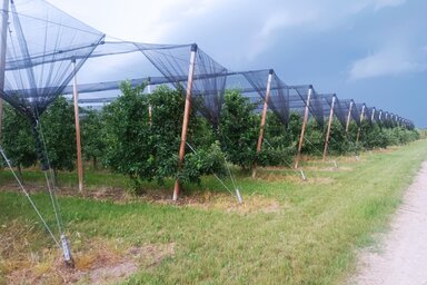 (Fotografija Timea L. Moger)