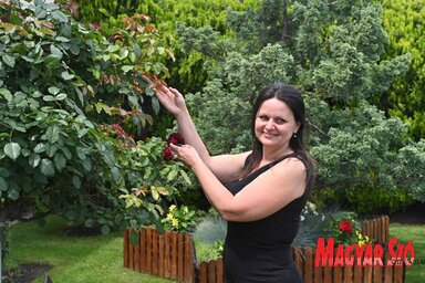 Jelica Kraljevački, Újvidék legszebb kertjének tulajdonosa