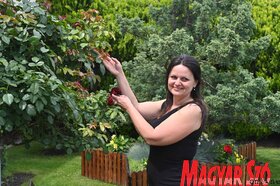 Jelica Kraljevački, Újvidék legszebb kertjének tulajdonosa