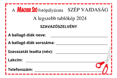 szavazószelvény