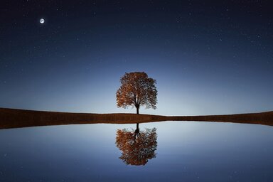 Illusztráció – Pixabay.com