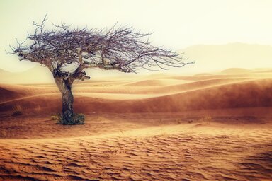 Pixabay