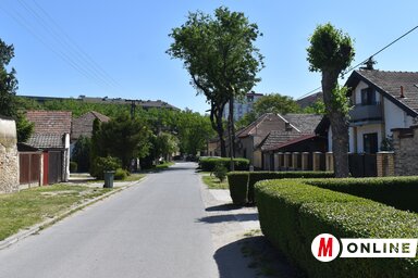 Az utca egykoron egy mocsáron áthaladó töltés volt / Patyi Szilárd felvétele