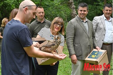 Az erdei fülesbaglyok szabadon engedésében Maja Gojković is segített (Fotó: Ótos András)