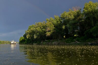 Gergely József felvétele