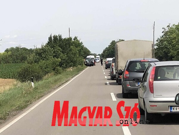 Erős Kincses Krisztina felvétele Erős Kincses Krisztina felvétele