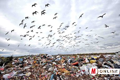 Gergely Árpád archív