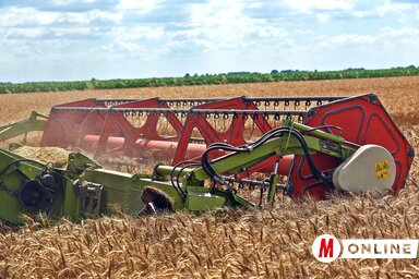 Gergely Árpád felvétele