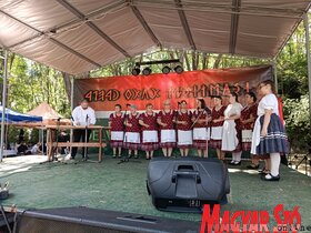Kazinczy Paszterkó Diana felvételei