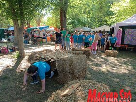 Ősök Napja Bajsán