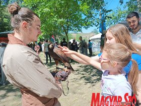Ősök Napja Bajsán