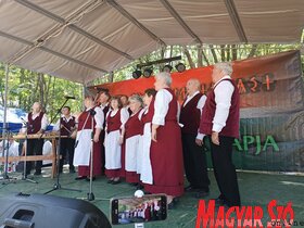 Ősök Napja Bajsán
