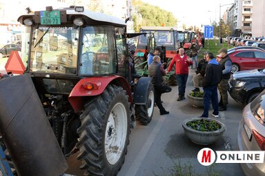 A kép a tavaly novemberi gazdatiltakozáson készült (Fotó: Dávid Csilla)