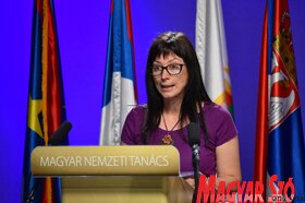 MNT ülés