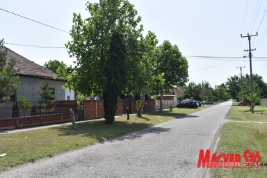 A hosszú utca Kisradanovác városrészben található / Patyi Szilárd felvétele