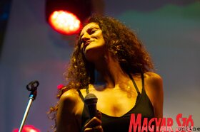 Green Town Jazz Fest Zomborban