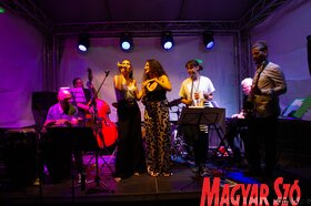 Green Town Jazz Fest Zomborban