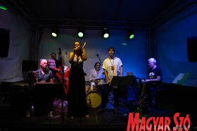 Green Town Jazz Fest Zomborban