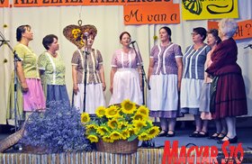 IV. Népzenei Találkozó Zentán